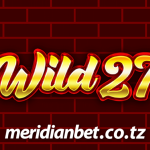 Sloti ya Wild 27 kasino ya mtandaoni