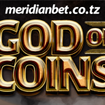 Cheza sloti ya Gold of Coins ushinde kitita leo