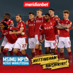 Haya hapa maajabu ya Nottingham Forest