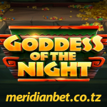 Fanya yafuatayo kushinda na sloti ya Goddess of the Night kasino
