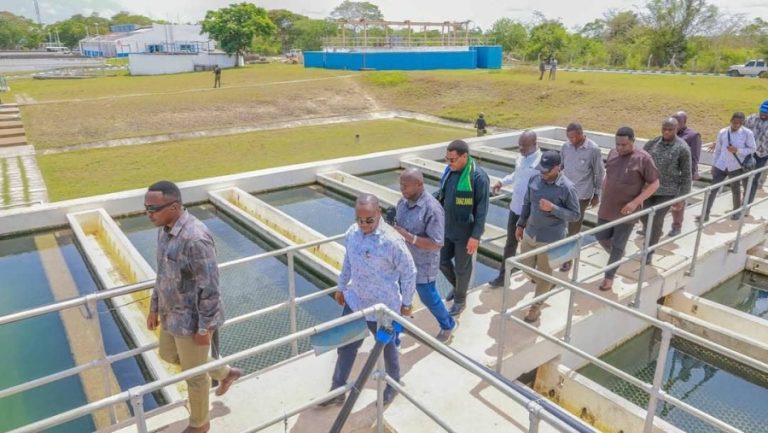 WhatsApp Image 2025-12-29 at 13.36.54