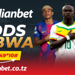 Bashiri na Meridianbet mechi za leo