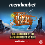 Wild White Whale kukupa mizunguko 50 bure