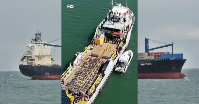 InShot_20260226_194809274