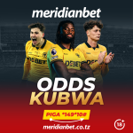 Bashiri mechi zote za Wolves na Meridianbet