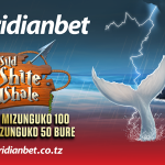 Wild White Whale inamwaga mizunguko ya ushindi usiyo na kikomo